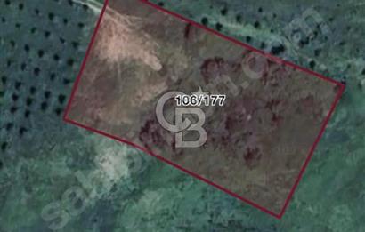 Cb MAHALL,DEN KOCAALİ BEZİRGAN.da VERİMLİ MUTLAK TARIM ALANI