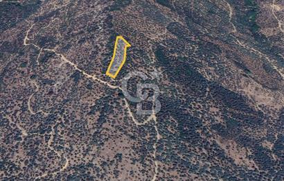 BAYINDIR ERGENLİ'DE YATIRIMLIK FIRSAT! ZEYTİNLİK CB-PH 