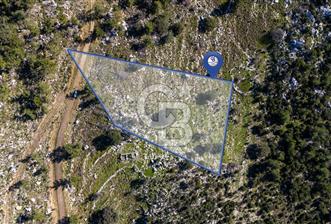 1295586318 CB MARİNA'DAN MARMARİS OSMANİYE KÖYÜ'NDE SATILIK 7 DÖNÜM TARLA  - 1 - 329950