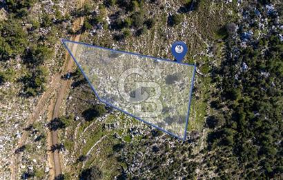 1295586318 CB MARİNA'DAN MARMARİS OSMANİYE KÖYÜ'NDE SATILIK 7 DÖNÜM TARLA 