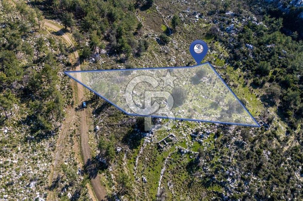 1295586318 CB MARİNA'DAN MARMARİS OSMANİYE KÖYÜ'NDE SATILIK 7 DÖNÜM TARLA 