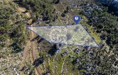 1295586318 CB MARİNA'DAN MARMARİS OSMANİYE KÖYÜ'NDE SATILIK 7 DÖNÜM TARLA 