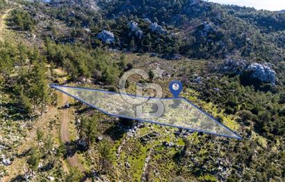 1295586318 CB MARİNA'DAN MARMARİS OSMANİYE KÖYÜ'NDE SATILIK 7 DÖNÜM TARLA 