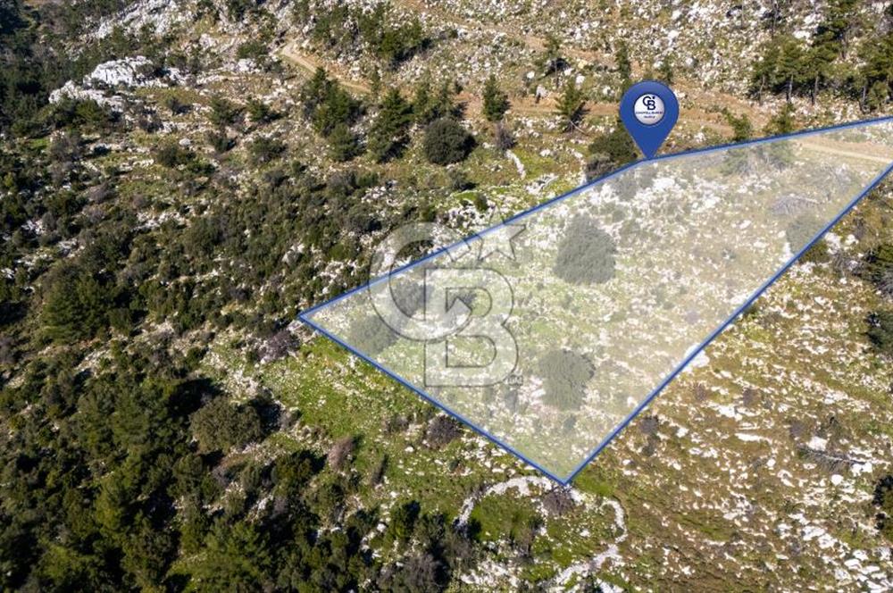 1295586318 CB MARİNA'DAN MARMARİS OSMANİYE KÖYÜ'NDE SATILIK 7 DÖNÜM TARLA 