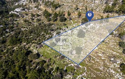 1295586318 CB MARİNA'DAN MARMARİS OSMANİYE KÖYÜ'NDE SATILIK 7 DÖNÜM TARLA 