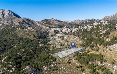 1295586318 CB MARİNA'DAN MARMARİS OSMANİYE KÖYÜ'NDE SATILIK 7 DÖNÜM TARLA 