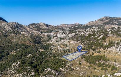 1295586318 CB MARİNA'DAN MARMARİS OSMANİYE KÖYÜ'NDE SATILIK 7 DÖNÜM TARLA 