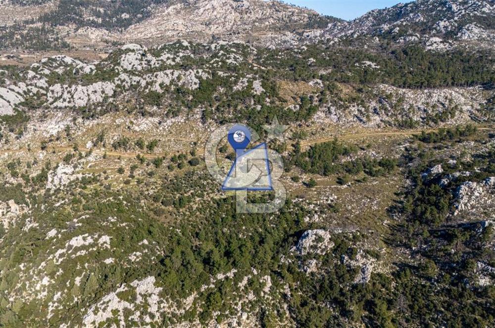 1295586318 CB MARİNA'DAN MARMARİS OSMANİYE KÖYÜ'NDE SATILIK 7 DÖNÜM TARLA 