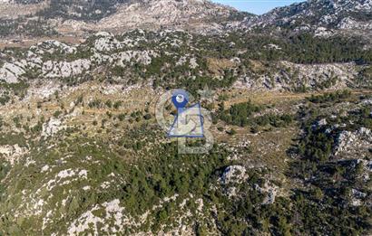 1295586318 CB MARİNA'DAN MARMARİS OSMANİYE KÖYÜ'NDE SATILIK 7 DÖNÜM TARLA 