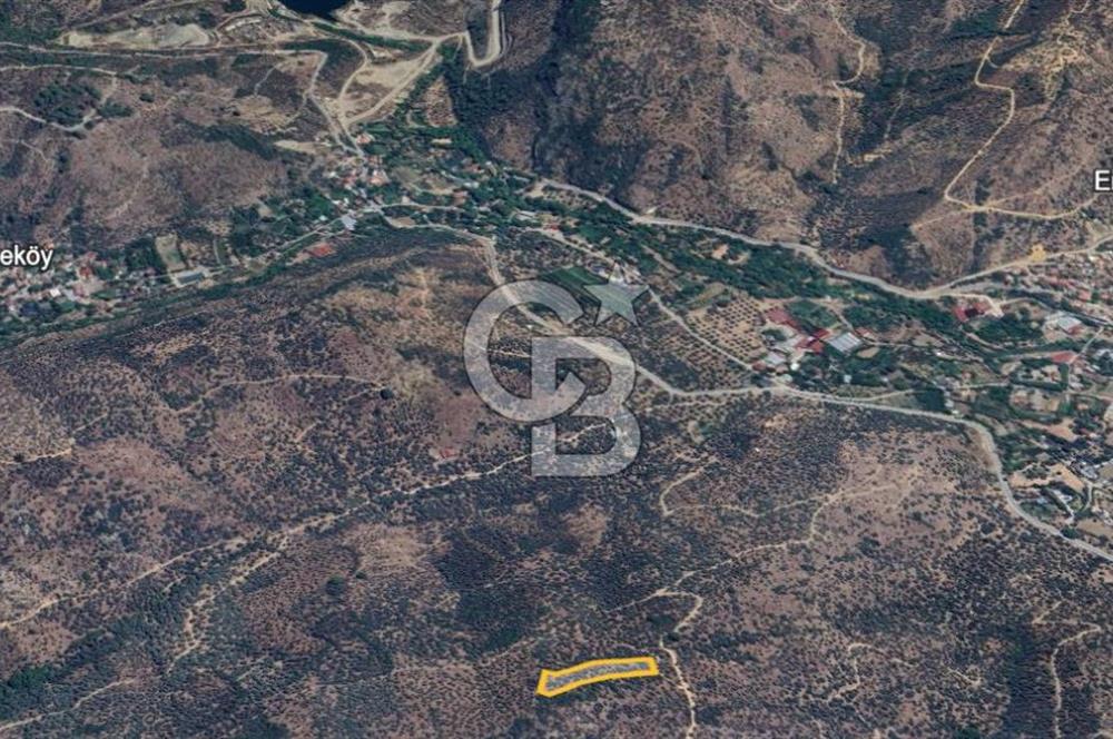 BAYINDIR ERGENLİ'DE YATIRIMLIK FIRSAT! ZEYTİNLİK CB-PH 