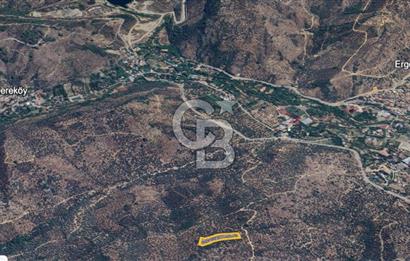 BAYINDIR ERGENLİ'DE YATIRIMLIK FIRSAT! ZEYTİNLİK CB-PH 