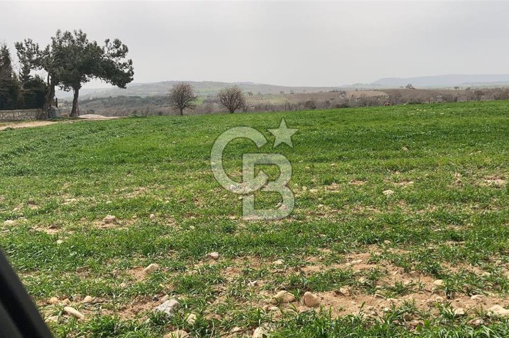 Çanakkale Merkez Yapıldak denize sıfır acil satılık 250 m2 hisse