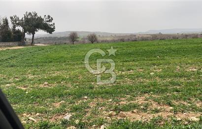 Çanakkale Merkez Yapıldak denize sıfır acil satılık 250 m2 hisse