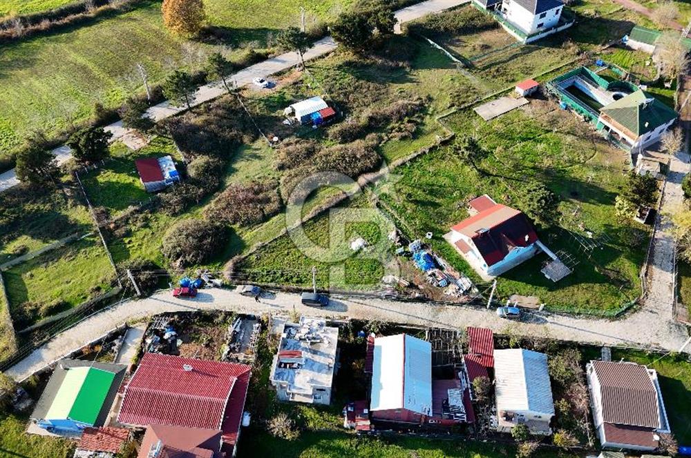 CB AKADEMİ KANDIRA BABALI DENİZE 250 MT SATILIK MÜSTAKİL ARSA !