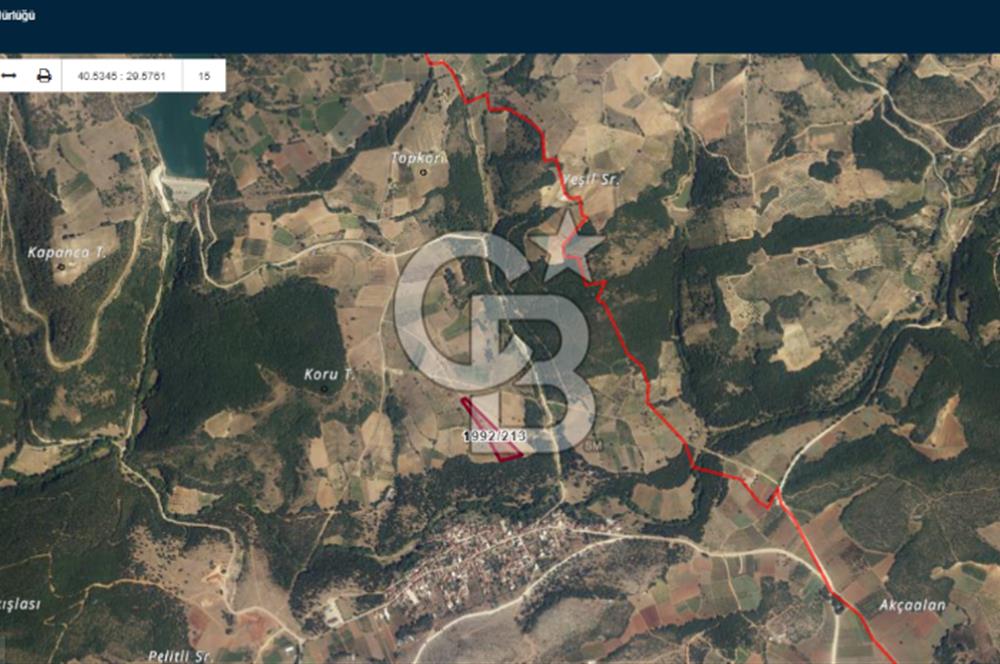 İznik Mahmudiyede Kaçırılmayacak Fırsat! 8.921 m² Satılık Arazi