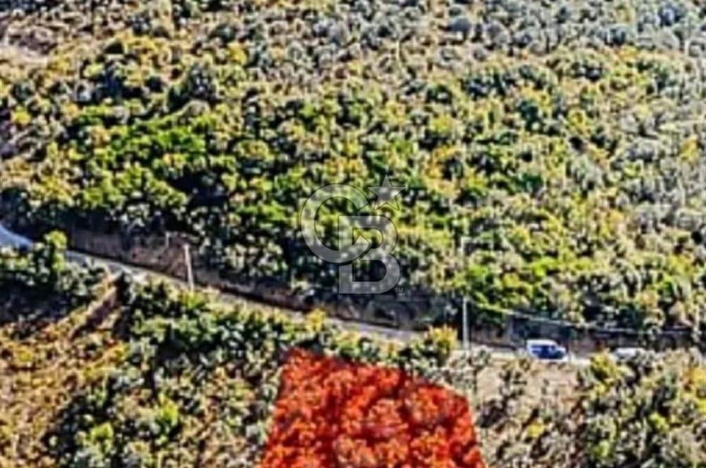 YALOVA ÇINARCIKTA FUUL DENİZ MANZARALI SATILIK İMARLI ARSA