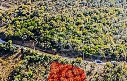 YALOVA ÇINARCIKTA FUUL DENİZ MANZARALI SATILIK İMARLI ARSA