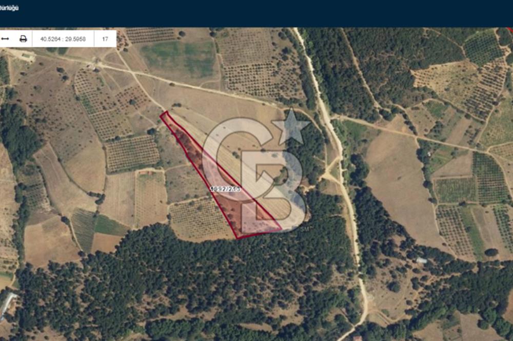 İznik Mahmudiyede Kaçırılmayacak Fırsat! 8.921 m² Satılık Arazi