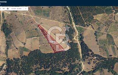 İznik Mahmudiyede Kaçırılmayacak Fırsat! 8.921 m² Satılık Arazi