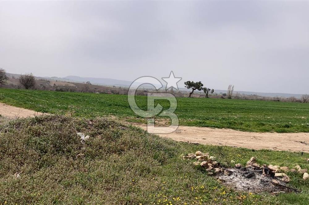 Çanakkale Merkez Yapıldak denize sıfır acil satılık 250 m2 hisse