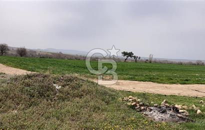 Çanakkale Merkez Yapıldak denize sıfır acil satılık 250 m2 hisse