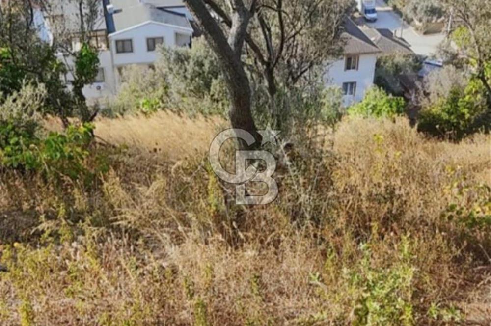 YALOVA ÇINARCIKTA FUUL DENİZ MANZARALI SATILIK İMARLI ARSA