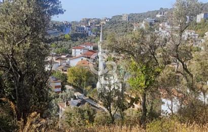 YALOVA ÇINARCIKTA FUUL DENİZ MANZARALI SATILIK İMARLI ARSA