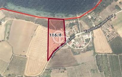 Çanakkale Merkez Yapıldak denize sıfır acil satılık 250 m2 hisse