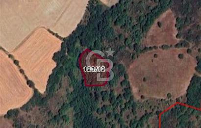 ÇANAKKALE LAPSEKİ  BEYPINAR  KÖYÜ'NDE SATILIK TARLA