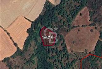 ÇANAKKALE LAPSEKİ  BEYPINAR  KÖYÜ'NDE SATILIK TARLA - 4 - 330011