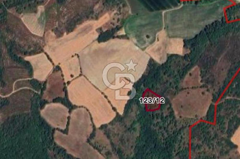 ÇANAKKALE LAPSEKİ  BEYPINAR  KÖYÜ'NDE SATILIK TARLA