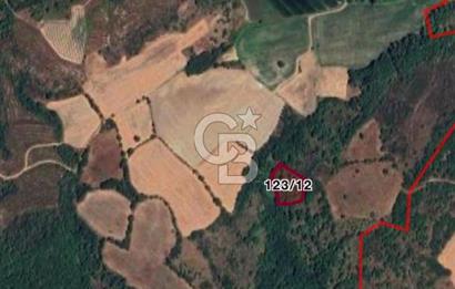 ÇANAKKALE LAPSEKİ  BEYPINAR  KÖYÜ'NDE SATILIK TARLA