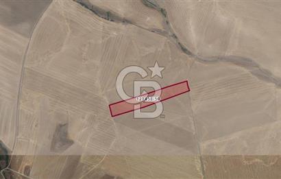 GÖLBAŞI İKİZCE'DE HİSSELİ SATILIK TARLA