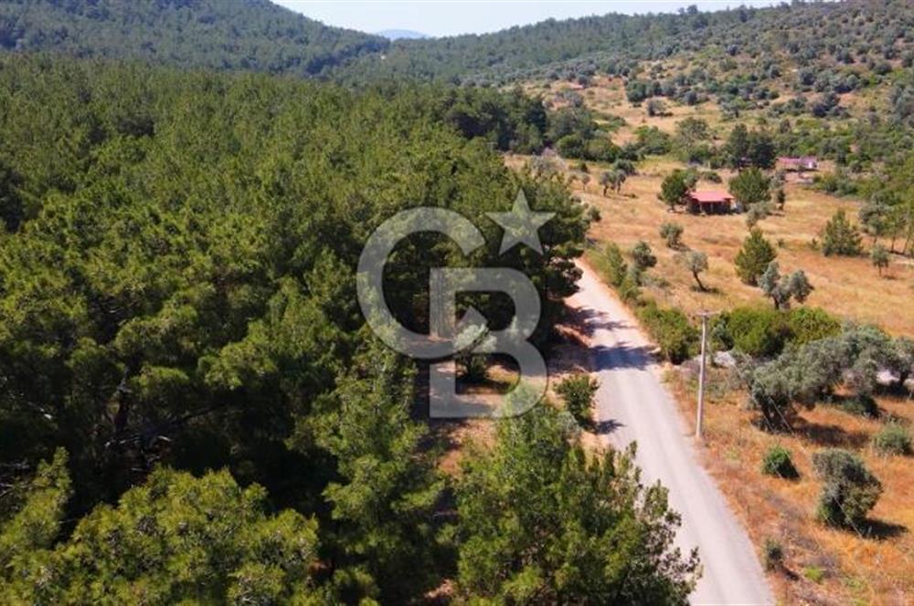 DOĞA İÇİNDE, ALTYAPISI HAZIR, MÜSTAKİL TAPULU ARSA