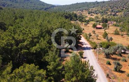 DOĞA İÇİNDE, ALTYAPISI HAZIR, MÜSTAKİL TAPULU ARSA