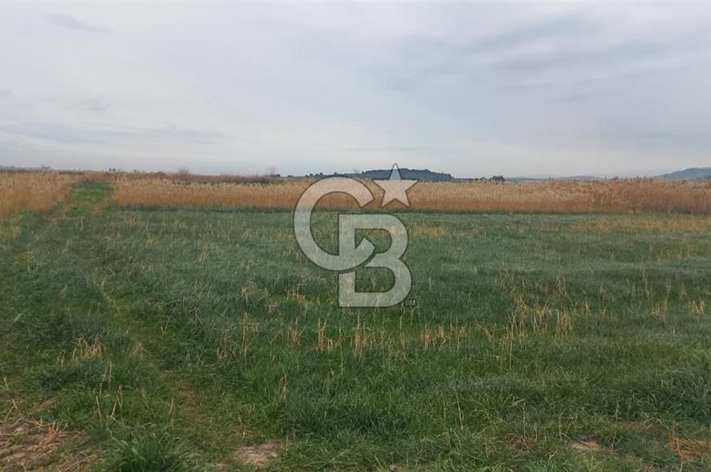 Foça Gerenköy'de Tarla Fırsatı