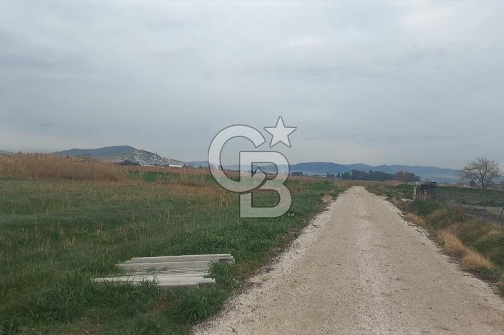 Foça Gerenköy'de Tarla Fırsatı