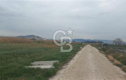 Foça Gerenköy'de Tarla Fırsatı