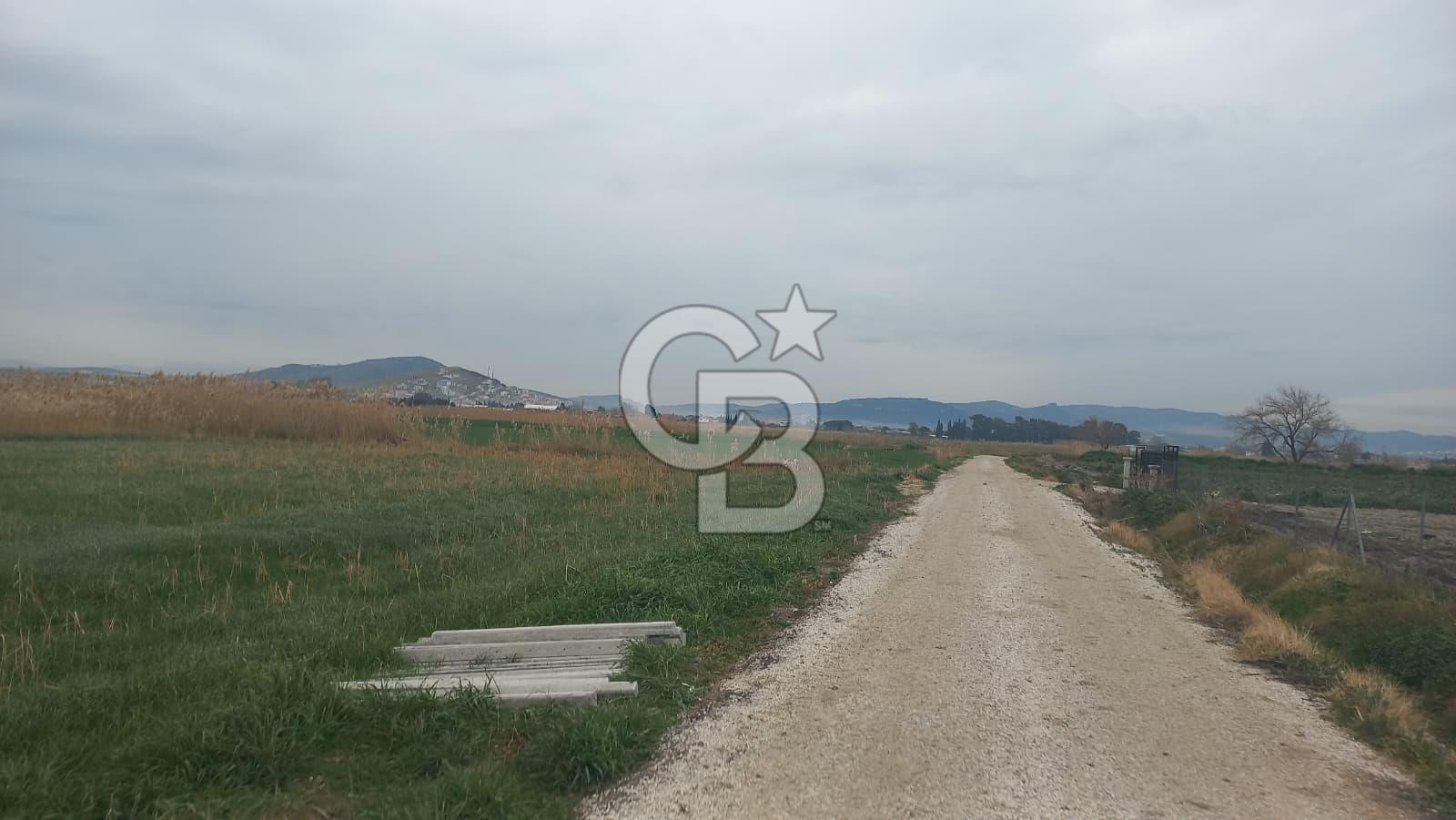 Foça Gerenköy'de Tarla Fırsatı