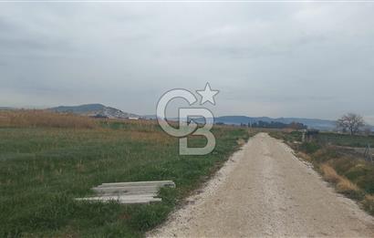 Foça Gerenköy'de Tarla Fırsatı