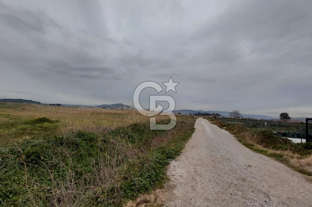 Foça Gerenköy'de Tarla Fırsatı