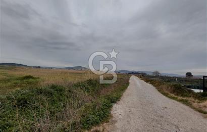 Foça Gerenköy'de Tarla Fırsatı
