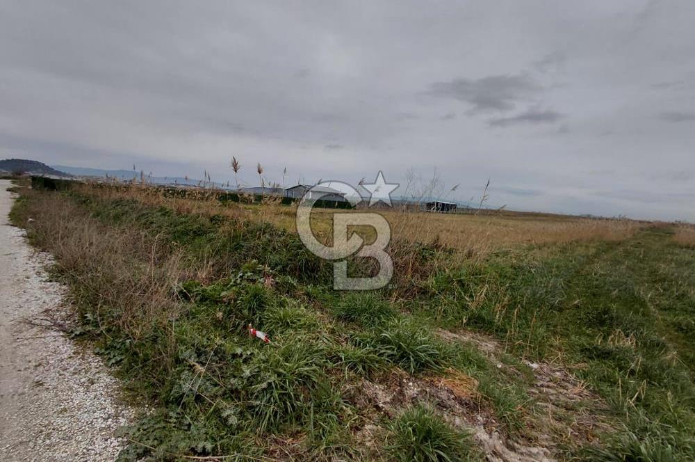 Foça Gerenköy'de Tarla Fırsatı