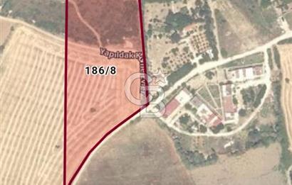 Çanakkale Merkez Yapıldak denize sıfır acil satılık 250 m2 hisse