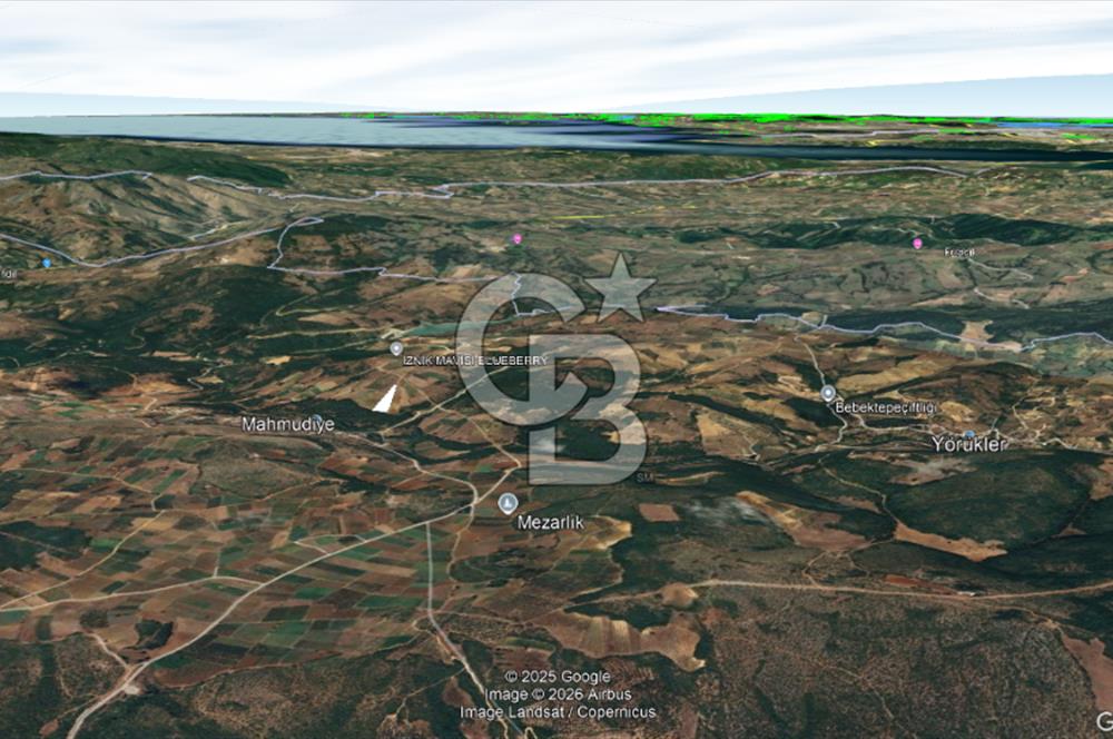 İznik Mahmudiyede Kaçırılmayacak Fırsat! 8.921 m² Satılık Arazi