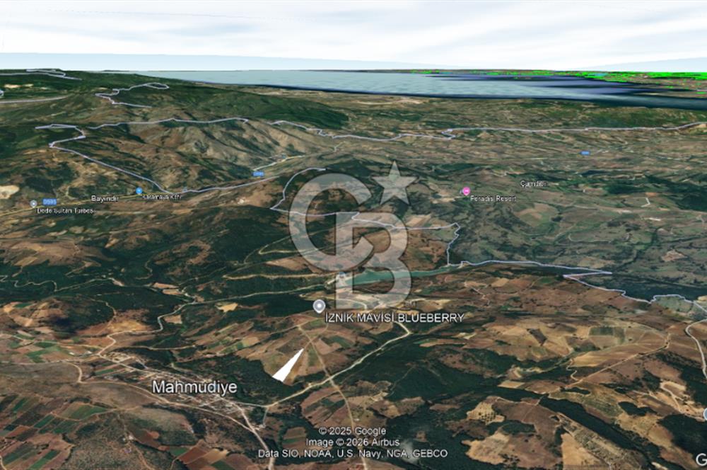 İznik Mahmudiyede Kaçırılmayacak Fırsat! 8.921 m² Satılık Arazi