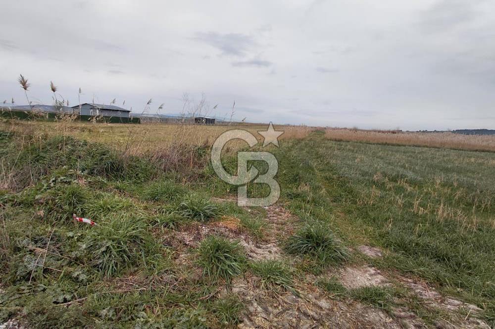 Foça Gerenköy'de Tarla Fırsatı