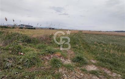 Foça Gerenköy'de Tarla Fırsatı