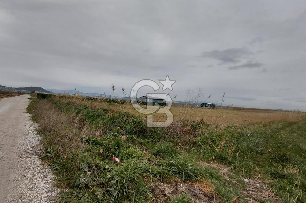 Foça Gerenköy'de Tarla Fırsatı