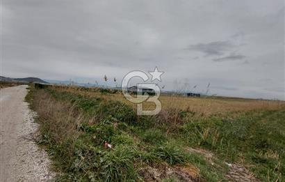 Foça Gerenköy'de Tarla Fırsatı